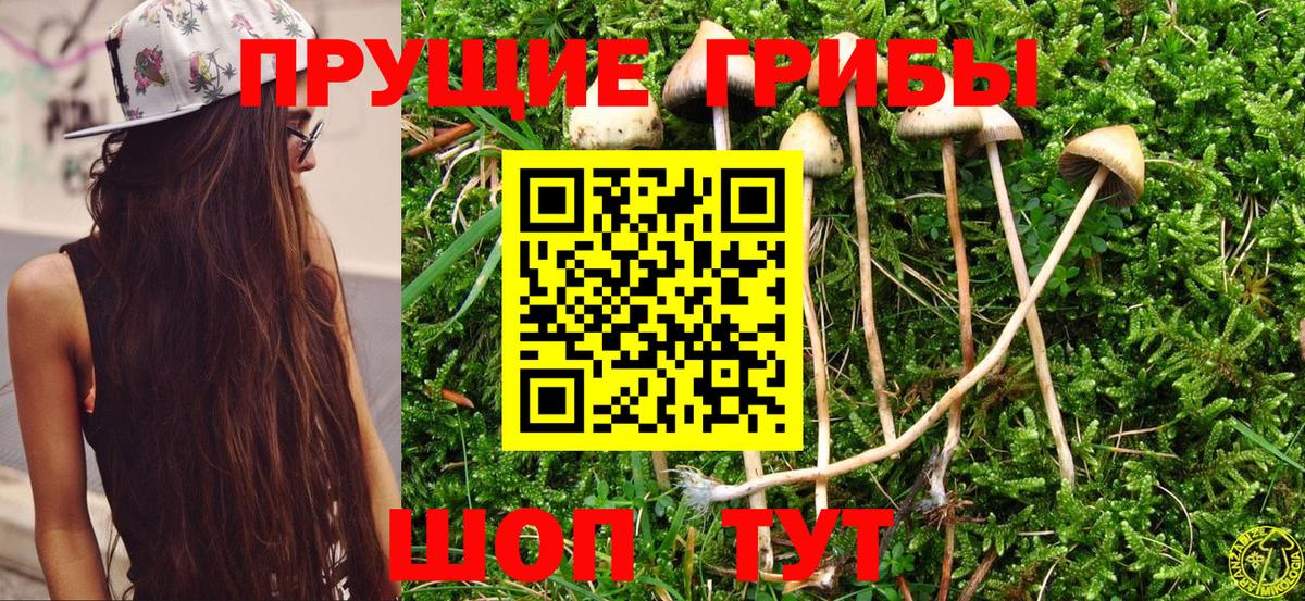 Псилоцибиновые грибы GOLDEN TEACHER Арзамас