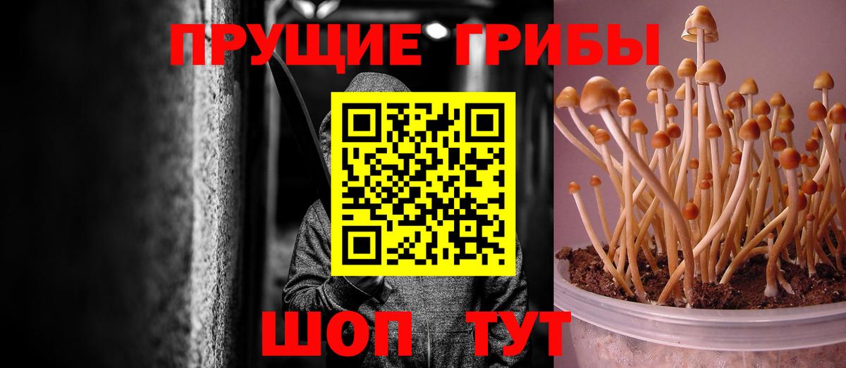 Галлюциногенные грибы мухоморы  Вход с VPN  Арзамас 